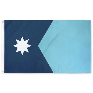 New Minnesota State Flag