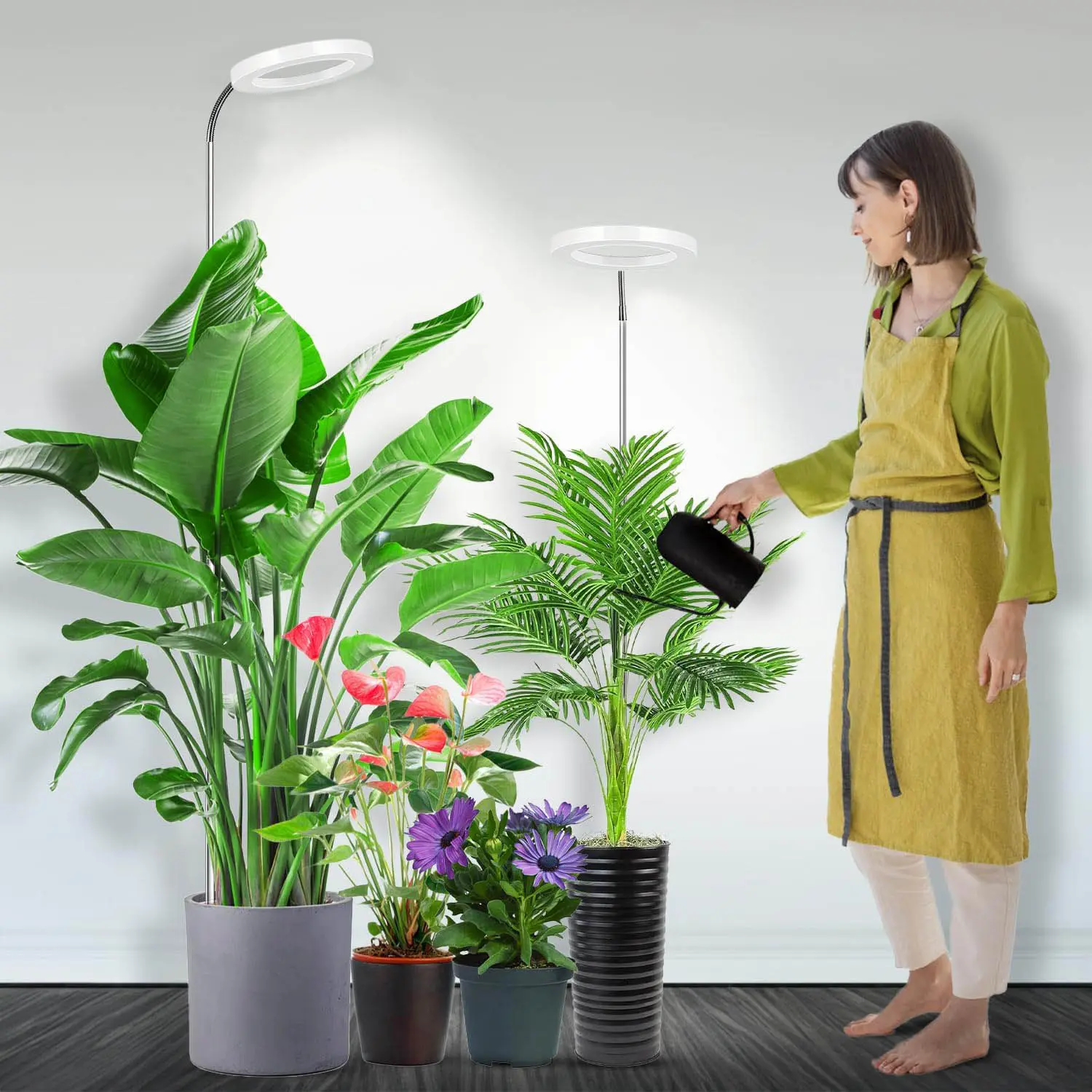 Grow Lights for Indoor Plants, Full Spectrum LED Floor Plant Light Auto  Timer 3/9/12H,10 Level Brightness,10-63 inch Adjustment Height for Large  Plant 3 Color Of Lamp Beads - TikTok Shop