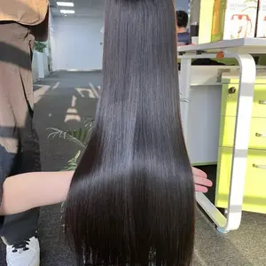 RAW Vietnamese Straight Wig Vietnamese Hair Extensions