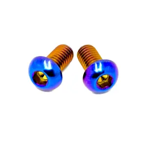 Titanium Motor Shaft Cover Bolts (Set of Two) Surron, Segway, 79 Bike, ERP