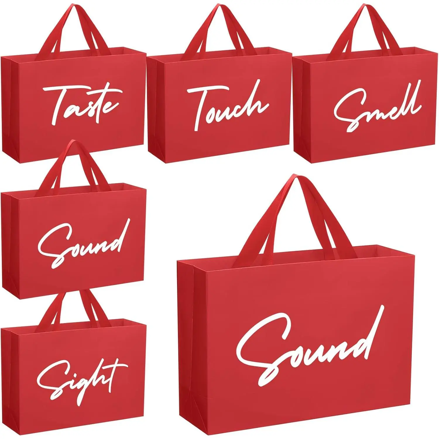 5 Senses  Bags for Him Her with Ribbon Handles Sight Smell Touch Taste Sound Paper  Bags for Men Women Birthday Wedding Anniversary Party(Red,12.6 x 8.7 x 4 Inches)