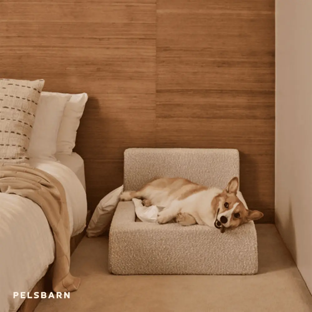 The Real Dog Bed