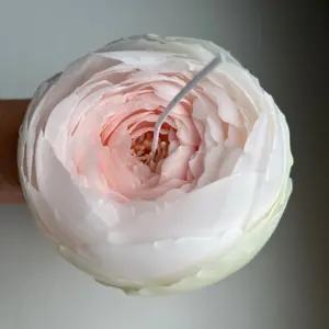 PEONY CANDLES
