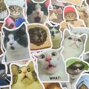 5 Funny Cat Sticker Pack
