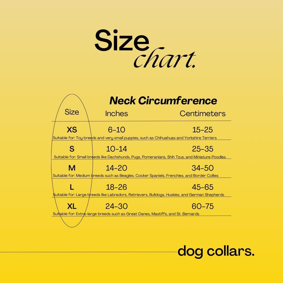 “The Desperado” Dog Collar