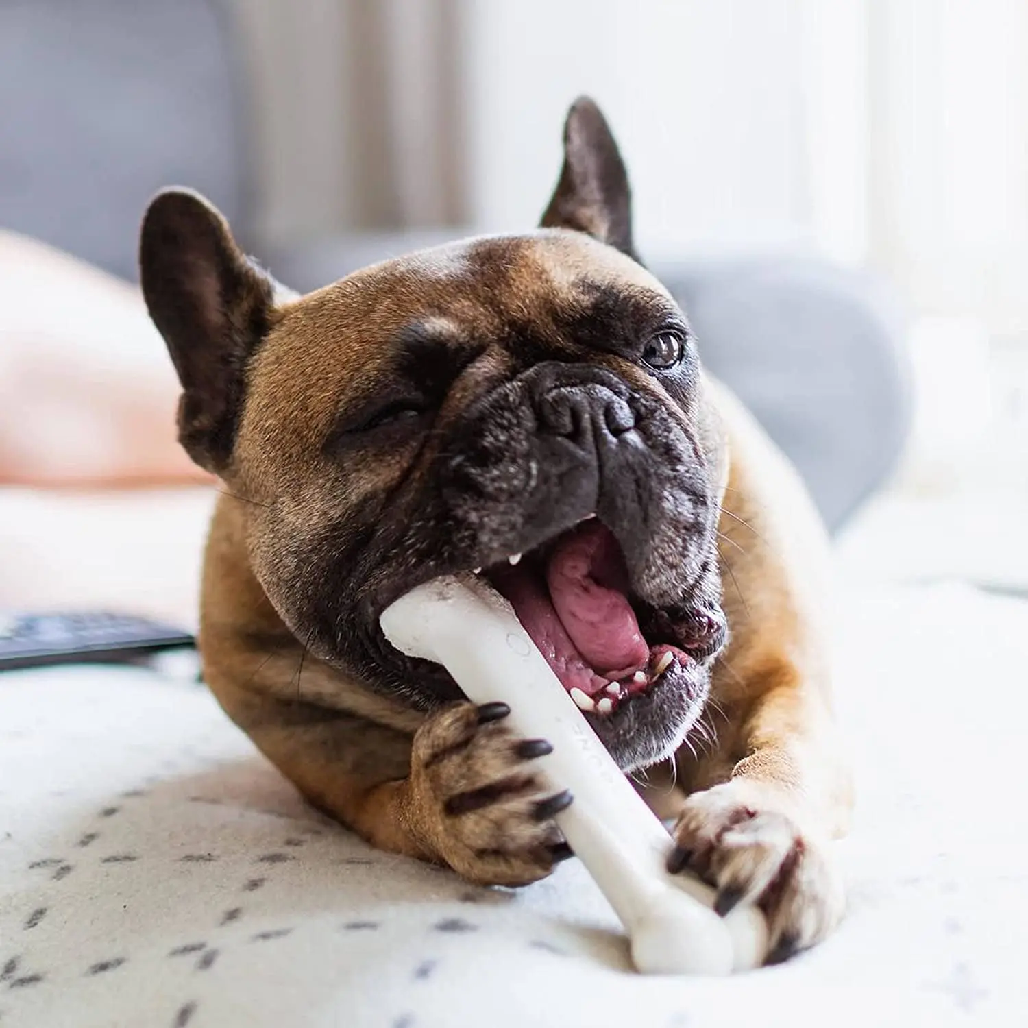 Nylabone Power Chew Bones 🦴🔥 Tough Nylon Twin Pack – Bacon & Chicken, Medium Dogs