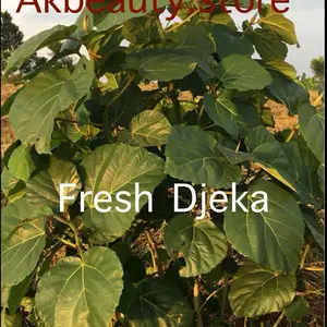 Djeka Leaves Dried plant aromatherapy