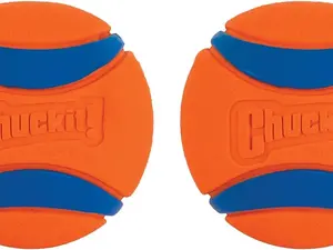 Ultra Ball Dog Toy, Medium (2.5 Inch Diameter) Pack of 2, for breeds 20-60 lbs