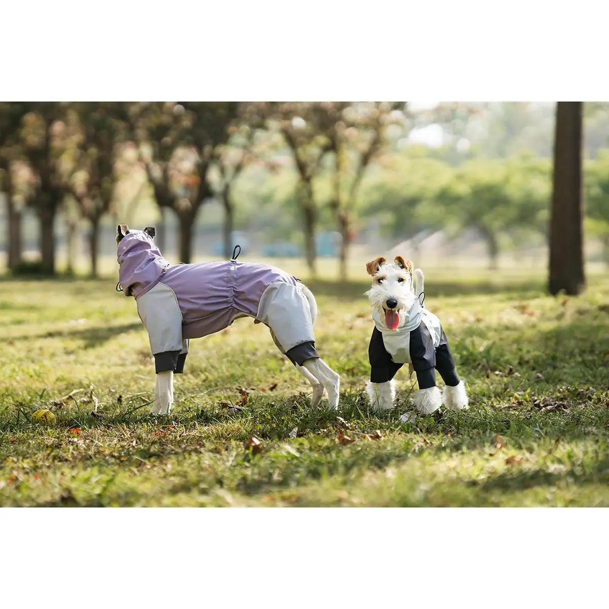 All-Weather Dog Raincoat - Full Leg Coverage, Leash-Friendly