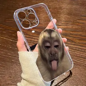 One Animal Monkey Pattern Printed Phone Case, Suitable for iPhone 15 Pro 14 13 12 11 XR 16 Pro Max Plus, Fashionable Unique Design for Protection