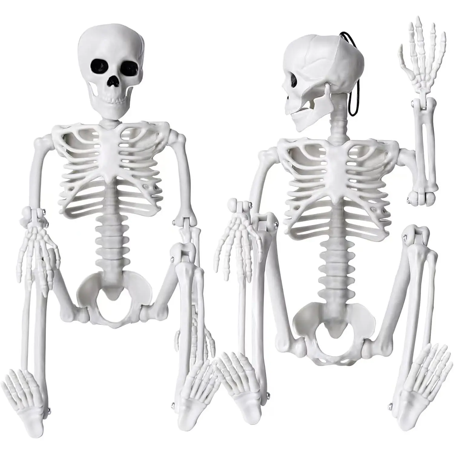 2 count Skeleton Halloween Decoration, 16" Full  Posable Halloween Hanging Plastic Skeleton Decoration with Movable Joints for Halloween Decoration Indoor Outdoor, White
