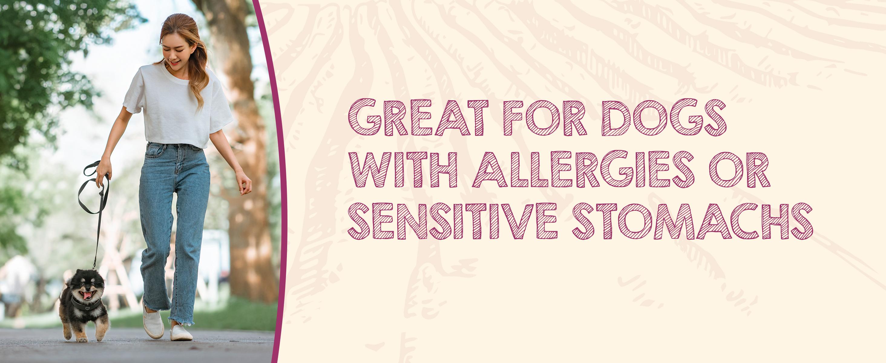 Riley's Premium Dehydrated Lamb Lung Dog Treats - Made in USA - Air Dried Crunchy & Delicious - 6 oz