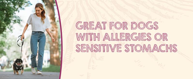 Riley's Premium Dehydrated Lamb Lung Dog Treats - Made in USA - Air Dried Crunchy & Delicious - 6 oz