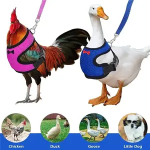 Adjustable Pet Harness Leash for Chickens, Small Dogs, Ducks, and Geese – Comfortable and Breathable Vest