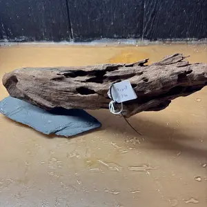 Mopani Driftwood (19x6x8) Natural Branches for Aquariums and Home Decor Unique Rustic Wood Pieces