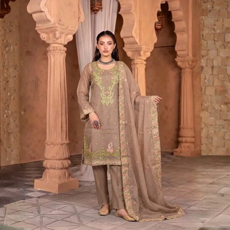 organza pakistani dress - TikTok Shop