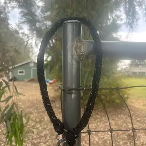 Rope latches Horse