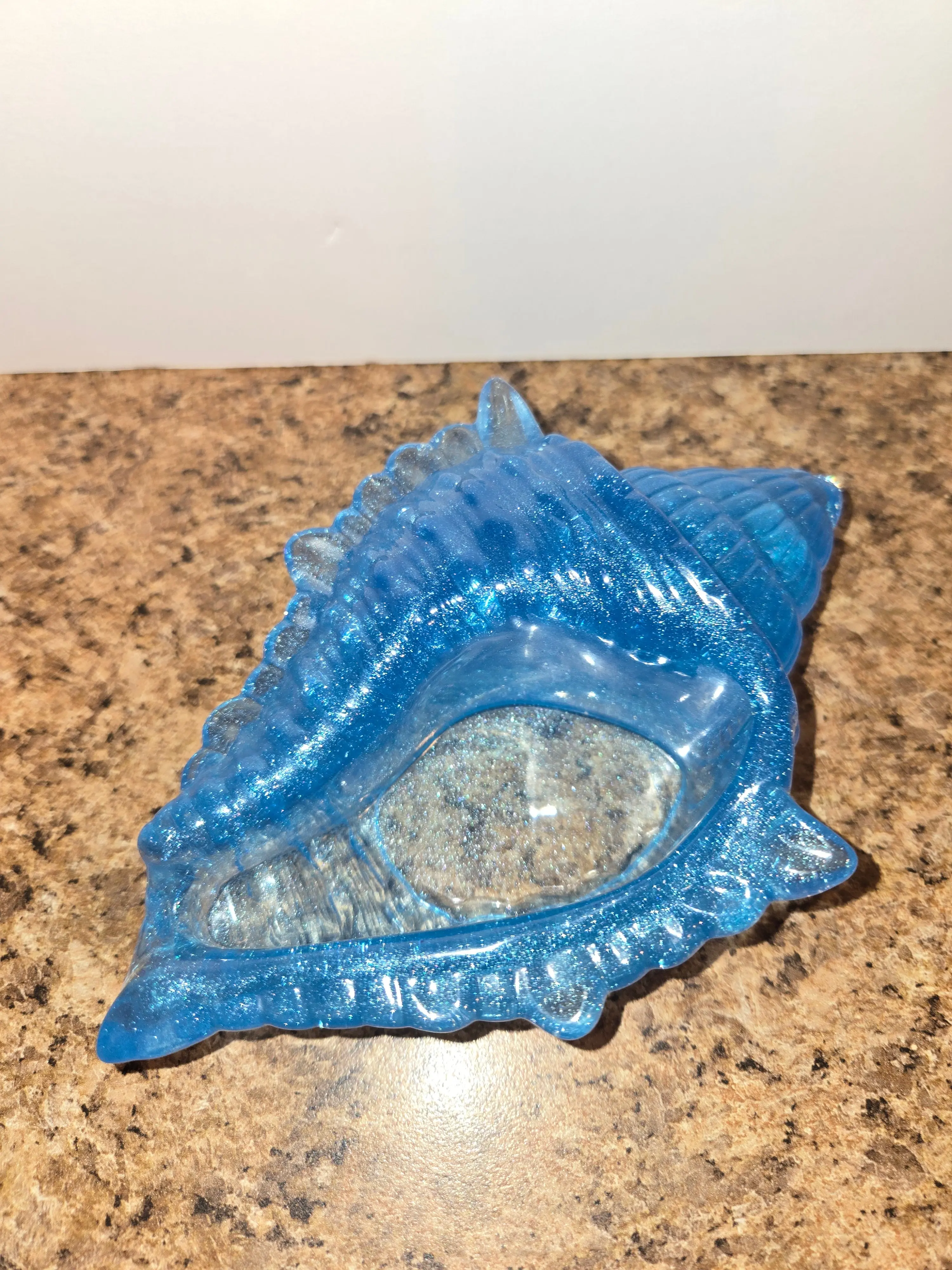 Large Conch Shell
