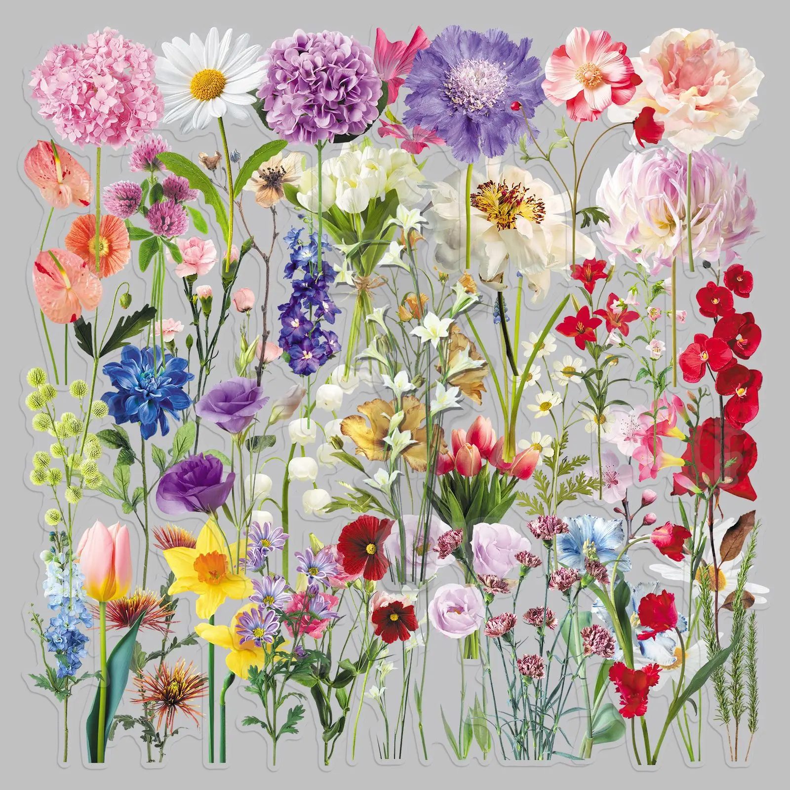 50 Realistic Flower Floral-themed Transparent PET Stickers, Suitable for Waterproof Decoration on Suitcases, Phone Cases, Laptops, Helmets, Skateboards, and Other DIY Creative Stickers.