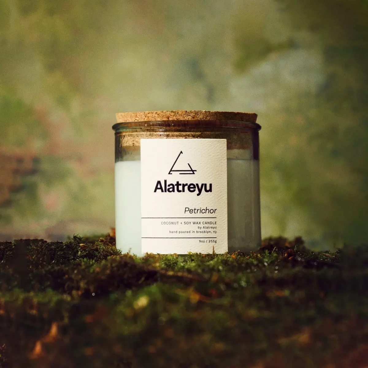 Petrichor Scented Candle | Wet Earth · Summer Ozone · Ferns | The smell of rain on dry soil, a nostalgic earthy home fragrance | Hand-Poured 100% Coconut + Soy Wax | Pay What You Can