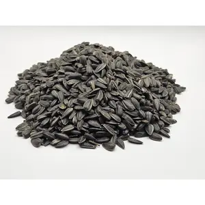 Peredovik Black Sunflower Seed