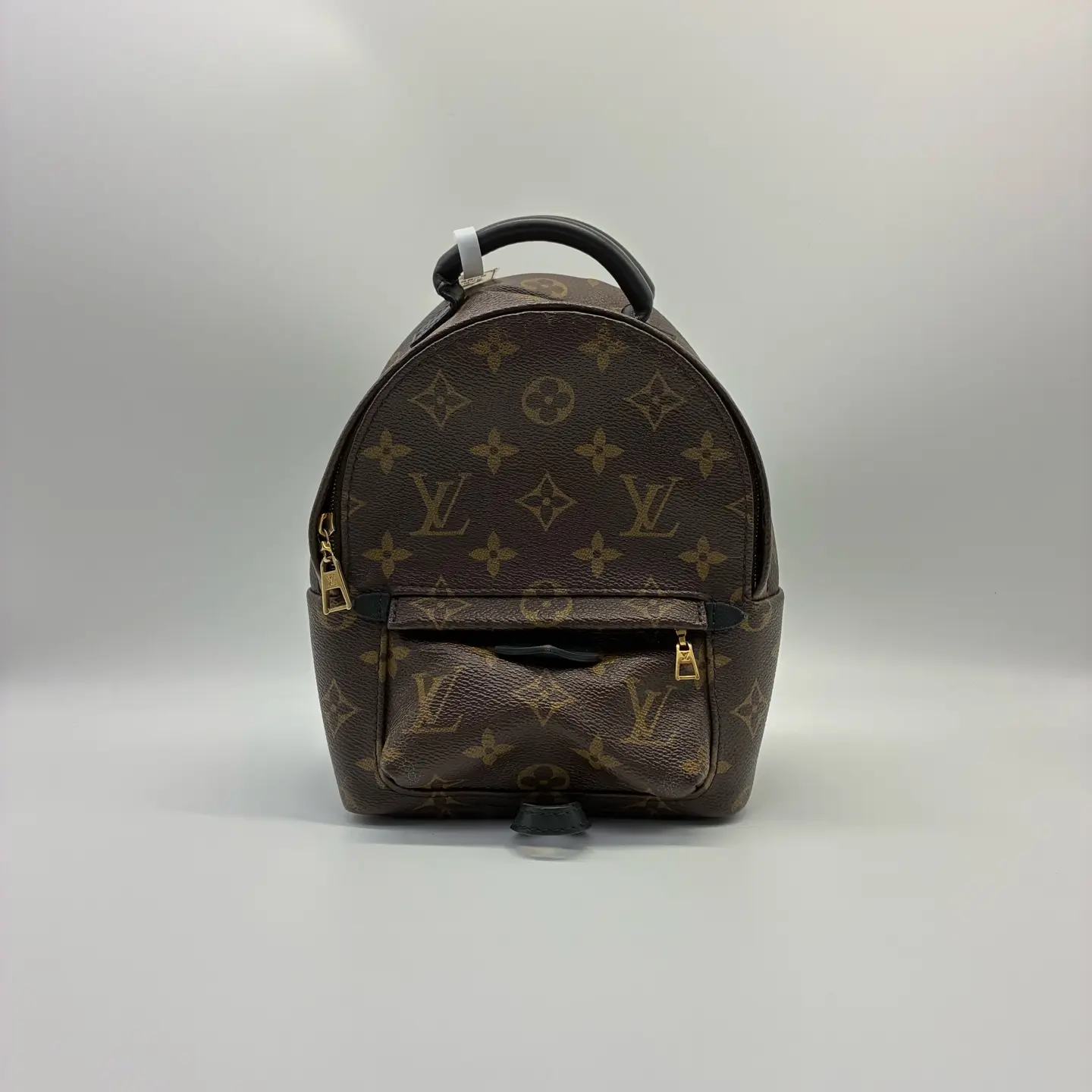 Pre-owned Louis Vuitton Palm Springs Mini Monogram Canvas Backpack