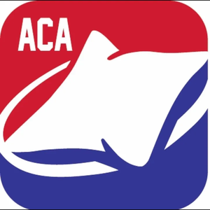 American Cornhole Association