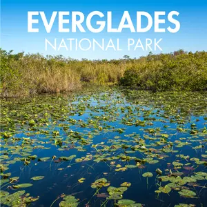 Everglades National Park-2x2 Magnet