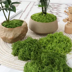 Vibrant Polyester Decorative Artificial Moss Pack, Perfect for DIY Vases, Holiday Decorations, Outdoor Landscaping, Various Occasions
