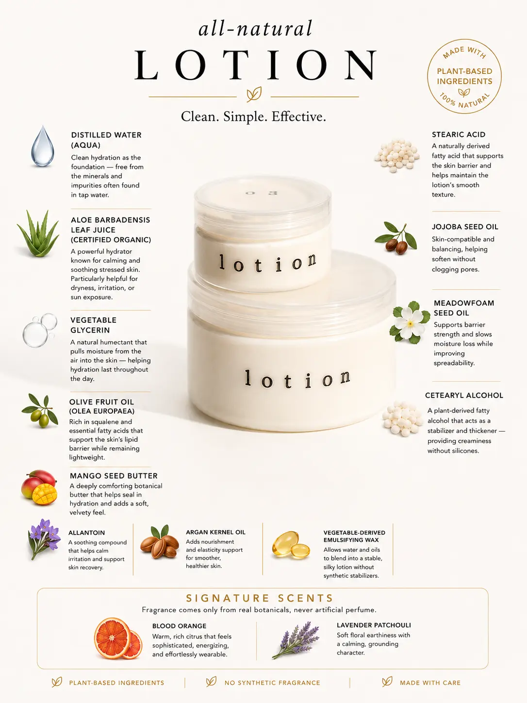 Aloe & Olive Body Lotion | Lightweight Daily Moisturizer for Dry Skin | Aloe Vera, Olive Oil & Jojoba
