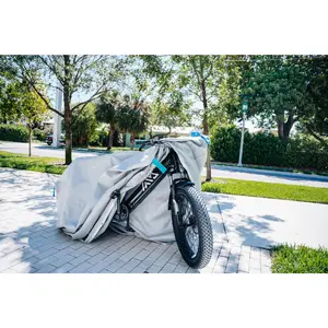 Li-Fire E-Bike & E-Scooter