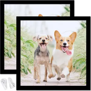 14x14 Inch Set of 2 Black Square Picture Frames High Transparent, for Wall Gallery Desktop, Horizontal Vertical for Canvas Collage Photo Poster Certificate
