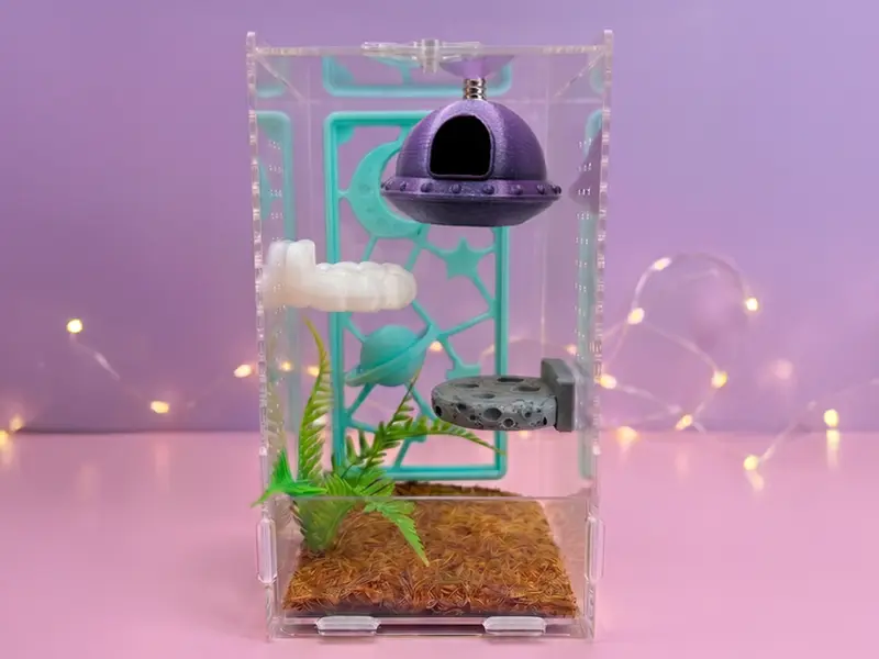 Cosmic Encounter Jumping Spider Terrarium Accessory Set, Pet Reptile & Amphibian Enclosure Supply
