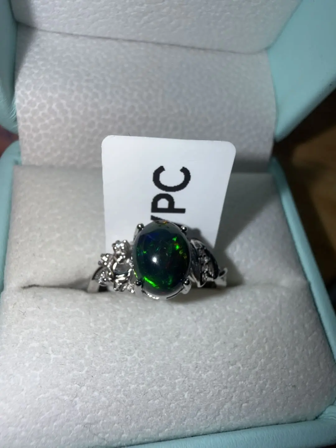 Sylvia(16561)gc.Blackopal