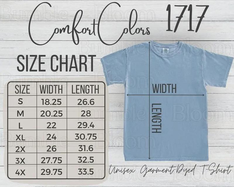 Vintage Lightning McQueen Comfort Colors Shirt, Cars Shirt, Retro Graphic Tee, Family Vacation Trip Shirt 2026