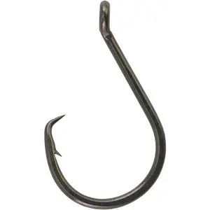 Berkley Fusion19 Circle Hook