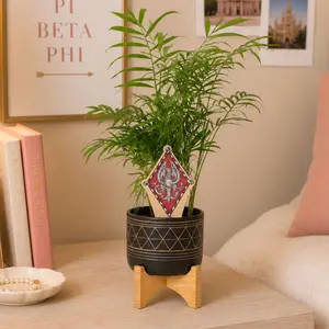 Pi Beta Phi Crest Color Plant Stake