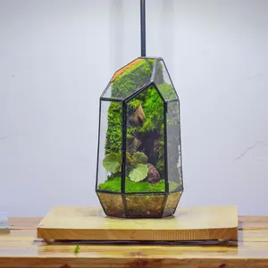 NCYP Small Geometric Terrarium with Door, Closed Planter for Succulents, Cacti, Home Indoor Tabletop Decoration, Terrarium Only