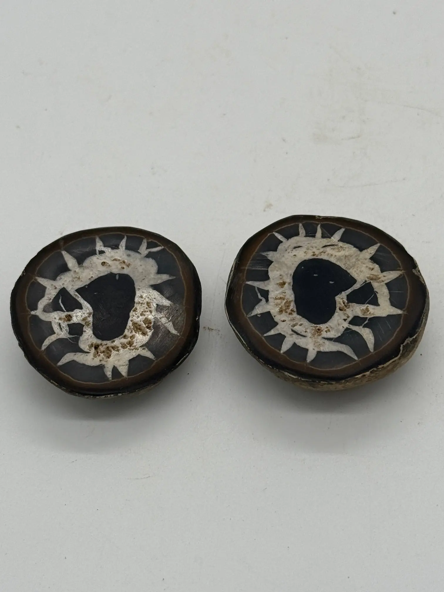 POLISHED SEPTARIAN NODULE HALVES #7 NATURAL CRYSTAL