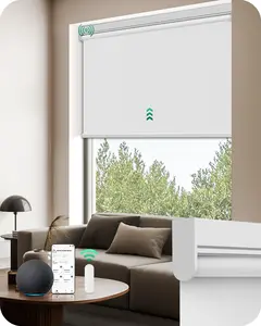 Allesin Allesin Motorized Blackout Roller Shades, Remote & Smartphone App Control Electric Window Blinds，Easy Installation Smart Window Blinds