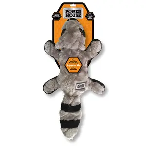 Power House- Large Raccoon