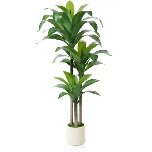 VeriNatural 5/6FT High-End Fashion, Insect and Mildew Proof, Eco-Friendly Artificial Palm Tree