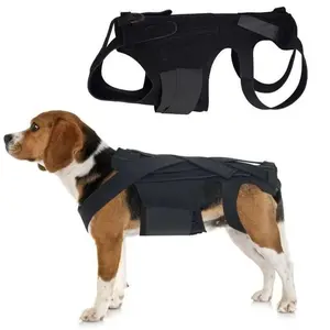 Adjustable Dog Back Support Vest Breathable Comfortable Pet Mobility Aid Back Protector Spine Support Clothes Soothe Emotions