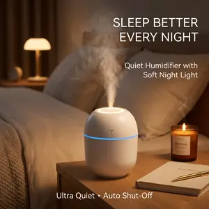 Portable Cool Mist Humidifier with Soft Night Light, Ultra Quiet 200ML USB Air Humidifier for Bedroom Sleep Skincare Makeup Desk Dorm Office Home Travel