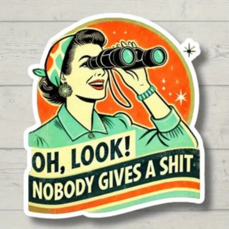 5pcs Nobody Gives a Shit, Retro, Funny Stickers, Sarcasm Stickers, Sarcastic Stickers, Funny Laptop Sticker, Funny Decals, Water Bottle Stickers, Sticker Sheets, Graphic Decal, Stickers For Scrapbooking, Sticker Set