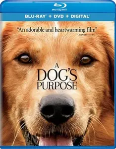 USED-A Dog's Purpose (Blu-ray)
