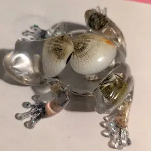 Handmade Ocean Themed Resin Frog Figurine what different sizes and colored seashells and Crustaceans