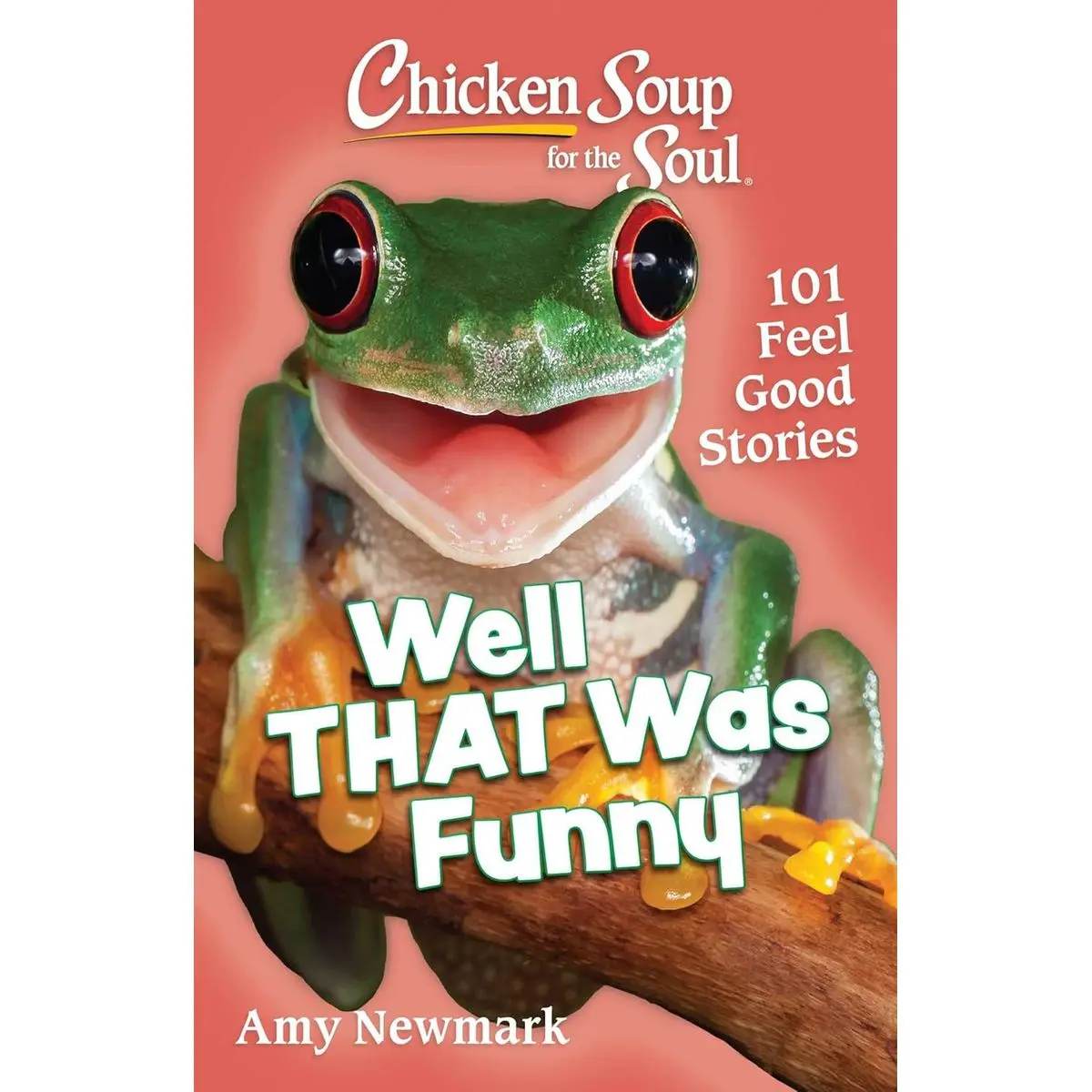 Chicken Soup for the Soul: Well That Was Funny: 101 Feel Good Stories Paperback – April 18, 2023