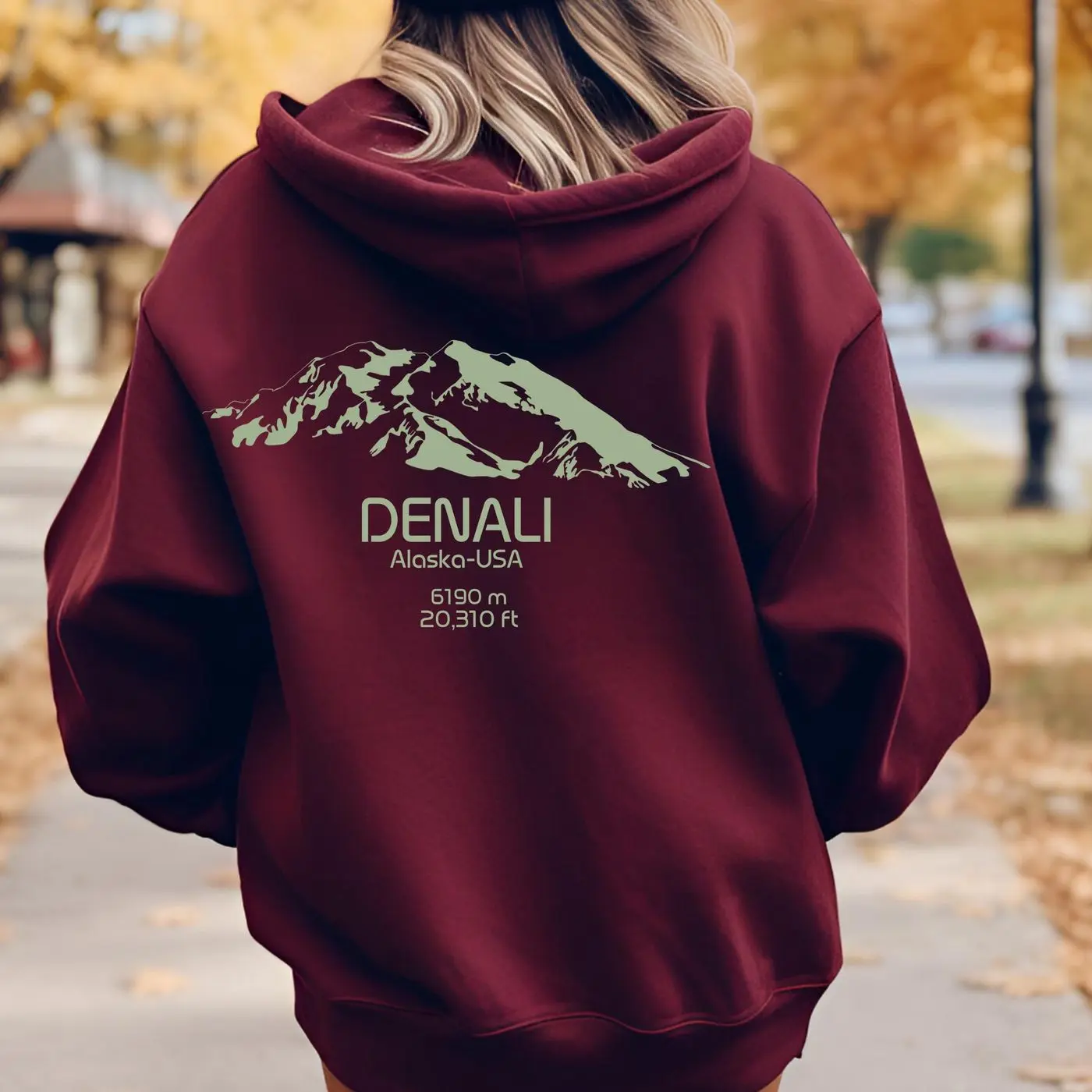 Denali Hoodie, Nature Hoodie, Denali National Park, Mountain Hiking, Granola Girl, Y2K Hoodie, Mountain Hoodie Alaska Range Adventurer