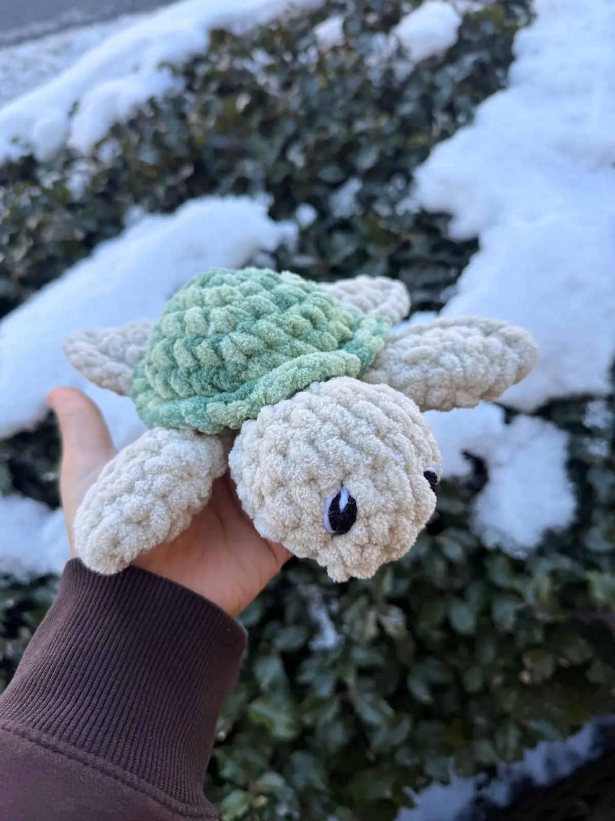 green turtle crochet